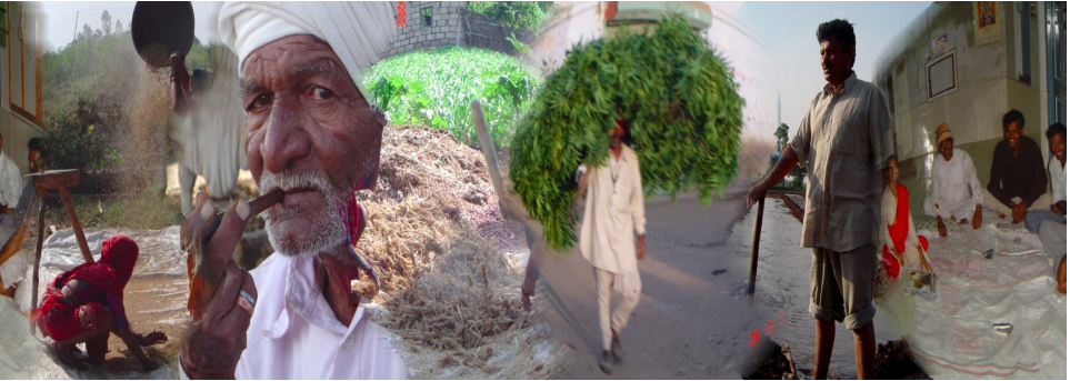 Ten principles of rural ethnography