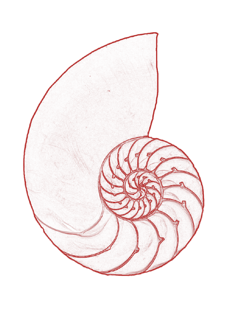 Helping Brands - COG